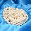 Round Shell Pearl Bead Strands X-BSHE-L011-4mm-A013A-2