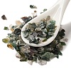 Natural Moss Agate Beads G-O103-31-1