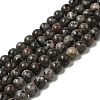 Natural Fluorescent Syenite Rock(Glow under UV Light) Beads Strands X-G-K340-A05-03-1