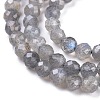 Natural Labradorite Beads Strands G-R475-025C-3