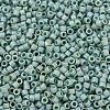 MIYUKI Delica Beads SEED-J020-DB2313-3