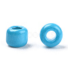 Baking Paint Glass Seed Beads SEED-S001-K10-6