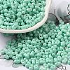 Baking Paint Glass Seed Beads SEED-K009-01A-05-1