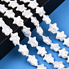 Natural Nucleated Baroque Keshi Pearl Beads Strands PEAR-S020-Z03-2