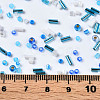FGB Glass Seed Beads SEED-S056-003-4