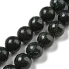 Natural Serpentine Beads Strands G-P504-10mm-01-1