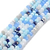 Glass Beads Strands EGLA-A034-M6mm-40-1