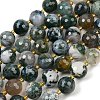 Natural Moss Agate Beads Strands G-C249-A08-16mm-3