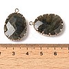 Natural Labradorite Faceted Pendants G-Q169-01G-03-3