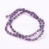 Glass Beads Strands GLAA-R024-6x4mm-2-2