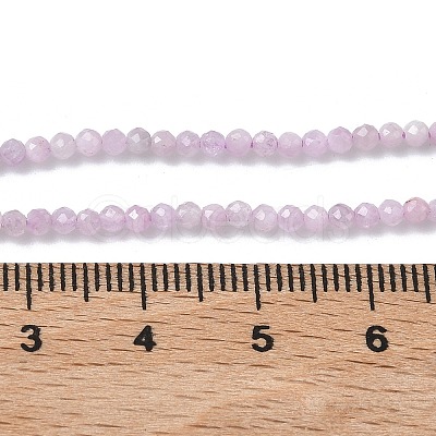 Natural Kunzite/Spodumene Beads Strands G-L651-C12-2mm-01-1