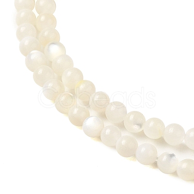 Natural White Shell Beads Strands SHEL-M021-03B-1