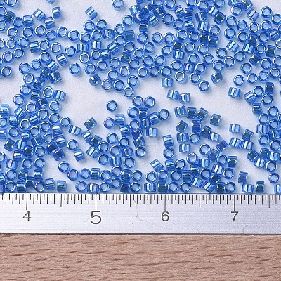 MIYUKI Delica Beads Small X-SEED-J020-DBS0177-1