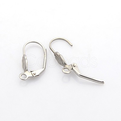 Tarnish Resistant 304 Stainless Steel Leverback Earring Findings LS-STAS-N036-02-1
