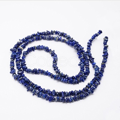 Chips Natural Lapis Lazuli Beads Strands G-N0164-46-1