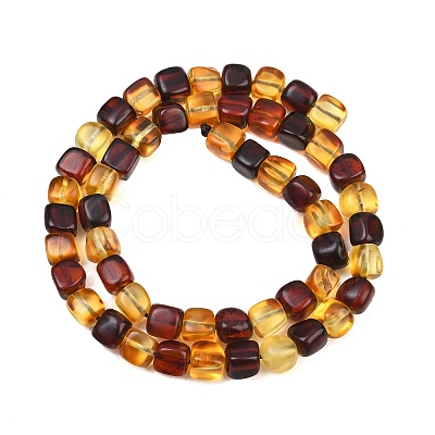 Two Tone Natural Amber Beads Strands G-K426-A03-04-1