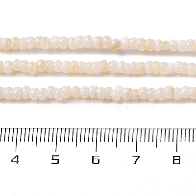 Natural Freshwater Shell Beads Strands SHEL-P017-01B-02-1