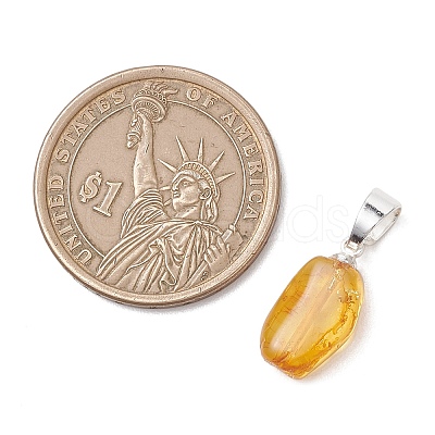 Gradient Color Natural Amber Pendants PALLOY-JF04930-01-1