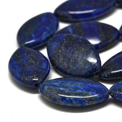 Natural Lapis Lazuli Beads Strands G-K311-08B-1