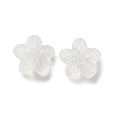 Transparent Acrylic Beads OACR-L013-006-1