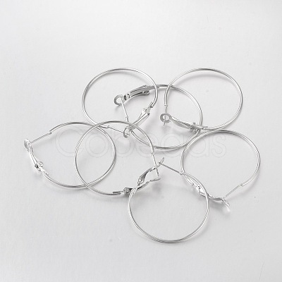 Iron Hoop Earrings X-E220-1