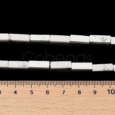 Synthetic Howlite Beads Strands G-K340-D06-01-1