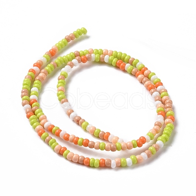 Glass Seed Bead Strands LAMP-B021-04A-1