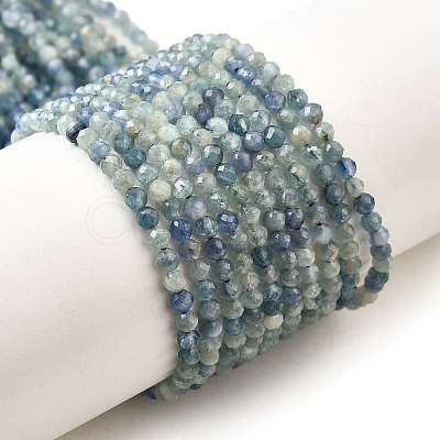 Natural Kyanite/Cyanite/DistheneBeads Strands G-G259-D04-2mm-1