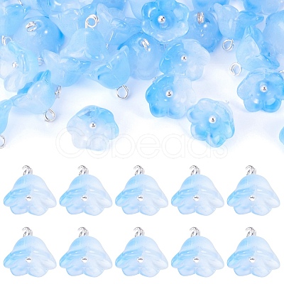 38Pcs Glass Charms GLAA-TADJ0001-19A-1