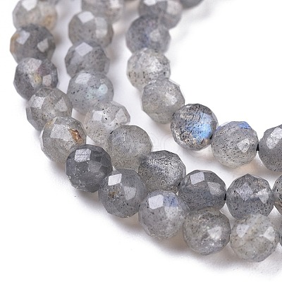 Natural Labradorite Beads Strands G-R475-025C-1