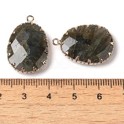 Natural Labradorite Faceted Pendants G-Q169-01G-03-1