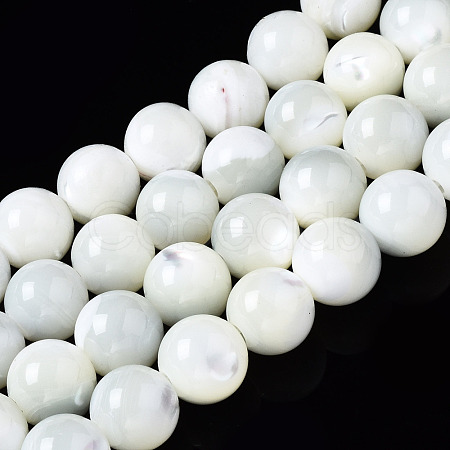 Natural Trochid Shell/Trochus Shell Beads Strands SSHEL-S266-023A-03-1