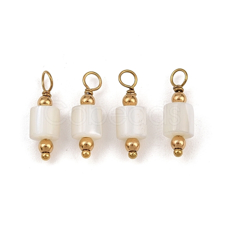 Natural Freshwater Shell Pendants SH-CBA5EEC-14G-1