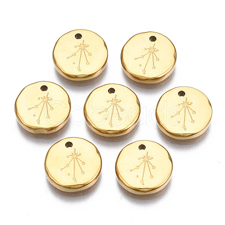 316 Surgical Stainless Steel Charms STAS-S116-418K-G-1