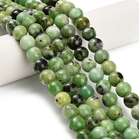 Natural Serpentine Beads Strands G-Z110-C04-8mm-1