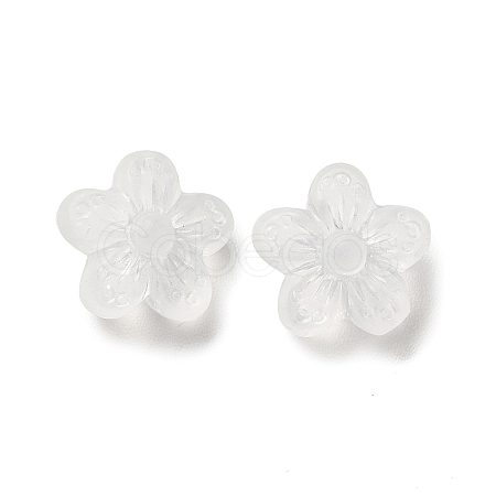 Transparent Acrylic Beads OACR-L013-006-1