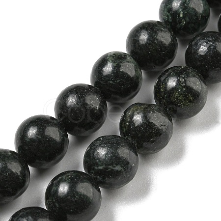 Natural Serpentine Beads Strands G-P504-10mm-01-1