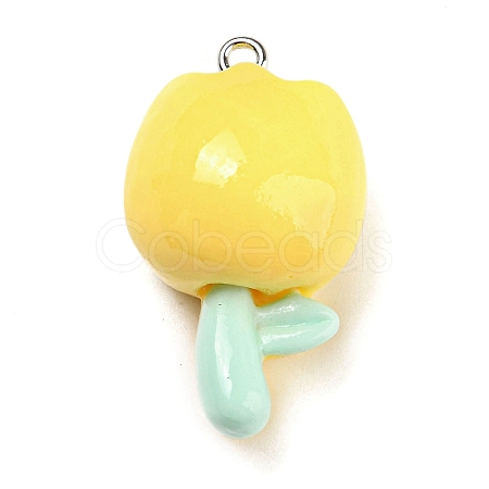 Opaque Resin Pendants LS-RESI-G078-01L-1