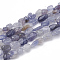 Natural Iolite Beads Strands, Tumbled Stone, Nuggets, 3~14x2~9x2.5~8mm, Hole: 1mm, about 50~55pcs/strand, 15.94 inch