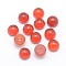 Natural Carnelian Cabochons, Dyed & Heated, Half Round, 6x3~3.5mm