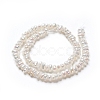 Natural Cultured Freshwater Pearl Beads Strands PEAR-I004-07A-4