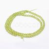 Natural Peridot Beads Strands G-F460-52-2