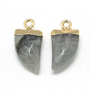Natural Labradorite Pointed Pendants G-Q966-02-2