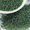 MIYUKI Round Rocailles Beads SEED-X0056-RR0288-1