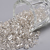 6/0 Glass Seed Beads SEED-A005-4mm-21-1