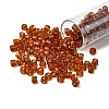 TOHO 3/0 Round Beads SEED-TR03-0423-1