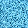 11/0 FGB Grade A Baking Paint Glass Seed Beads X-SEED-N001-A-1019-2