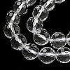 Natural Quartz Crystal Beads Strands G-C079-B06-02-5