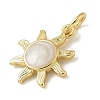 Rack Plating Brass Enamel Charms KK-K392-50G-02-2