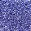 MIYUKI Delica Beads X-SEED-J020-DB0243-1